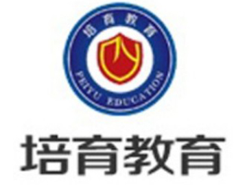 只要学网信可查，任何一种都足够你用了，考公务员都承认